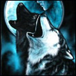 Wolf^